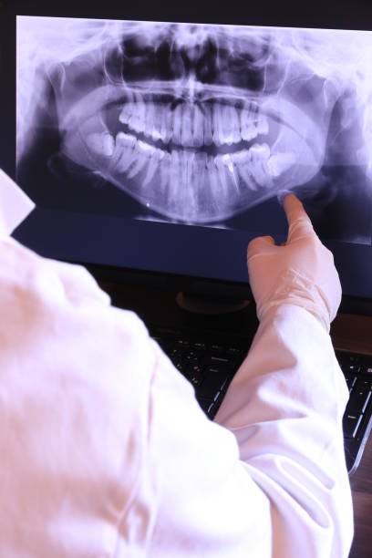Best Emergency X-Rays and Diagnostics in Schoolcraft, MI
